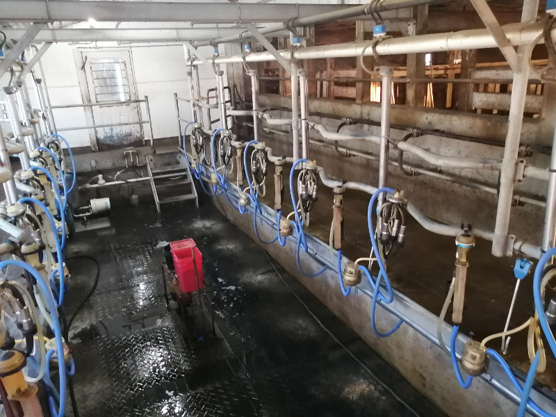 Milking Parlor for sale  