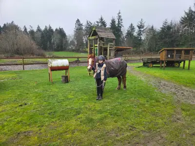 For rent 60acres pasture  west of melville.fence needs repairing, View more
