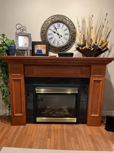 Upgrade your living space with this elegant Napoleon fireplace! This unit features a classic wood ma...