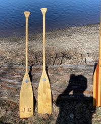 Paddles x2