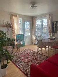 Roommate (Girl)  in a 4 1/2 apartment - Chambre a louer