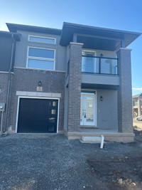 Brand New 3 Bedroom Townhouse for rent in Welland