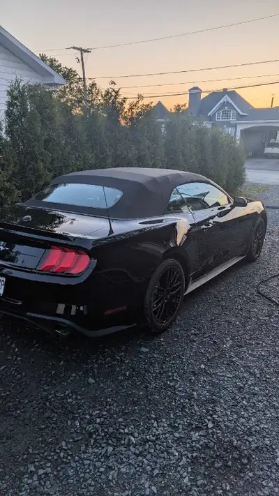 Mustang Décapotable noir Premium comme neuve jamais accidenté moteur 2.3 litres Turbo vous pouvez la...