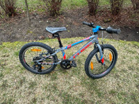 CUBE Kid Mountain Bike 20”