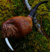 Carved Heather Walrus Tobacco Pipe
