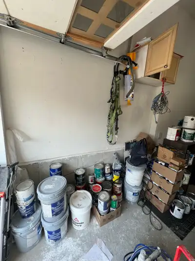FREE Assorted Paint, View more