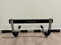 [Reasonable Discount] Ally Peaks Pull Up Bar