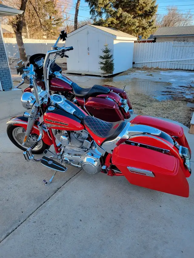 2005 harley davidson fatboy cvo in Street, Cruisers & Choppers in Regina - Image 2