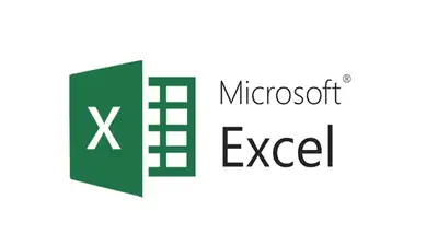 Microsoft Excel Tutor | Pivot Tables, Formulas | All Levels, View more