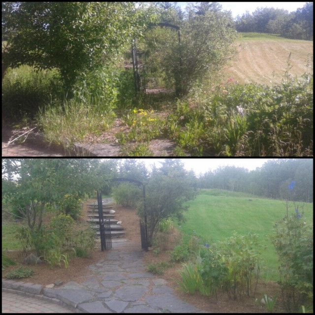 BOOK EARLY FOR SPRING CLEAN UP AND RESTORATION!! Lawn, Tree Maintenance & Eavestrough