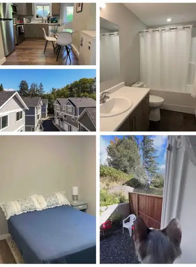 Furnished room for rent in Central Sooke. $950 inclusive. Share with lady in her 50s, cat & small do...