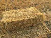 Wheat Straw Small Squares
