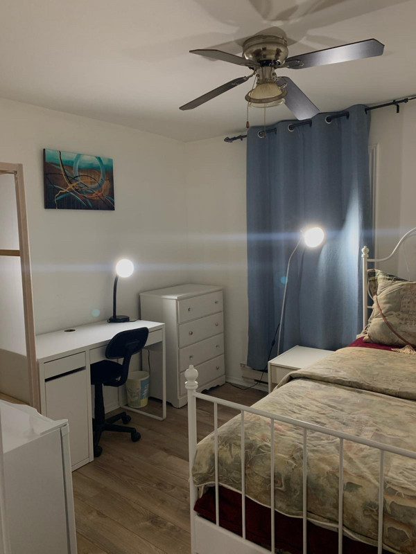 Gatineau (notre Dame) -  Dispo immédiatement $750 TOUT INCLUS in Room Rentals & Roommates in Gatineau - Image 4