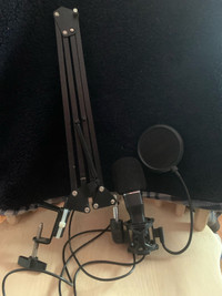 Studio Microphone + Boom arm/Stand