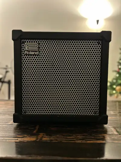 Roland Cube 80XL, View more