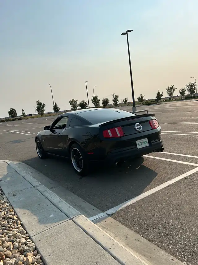 2011 Mustang GT63008303286531122