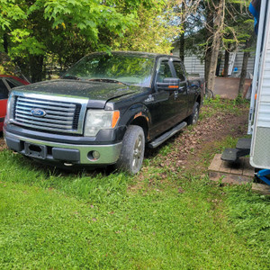 2011 Ford F 150