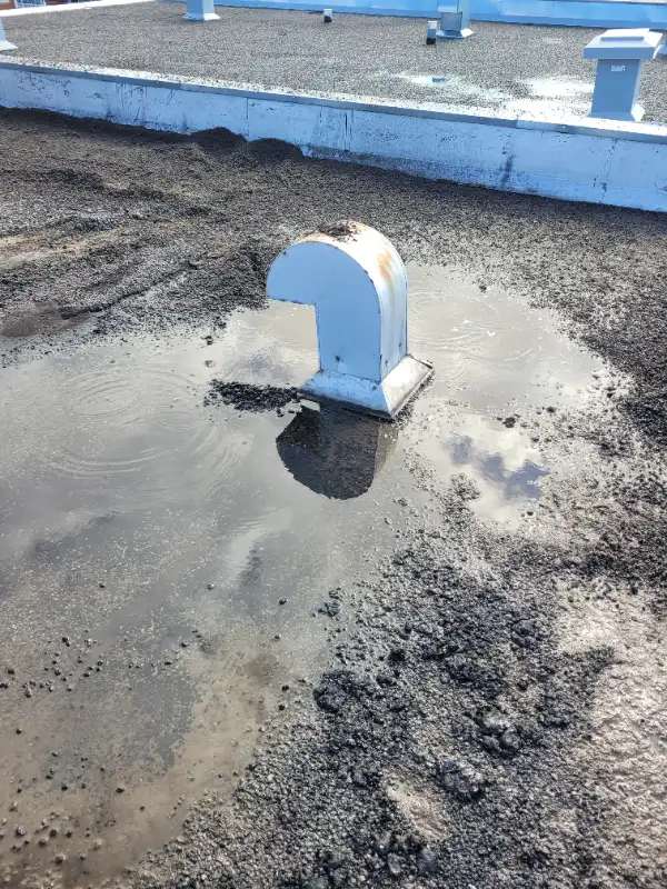 NORTH SHORE LAVAL CLIENT 500$ ROOF PATCH DISCOUNT LEAK62863218739586124
