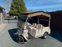 Collector 1972 Harley Davidson Golf Cart