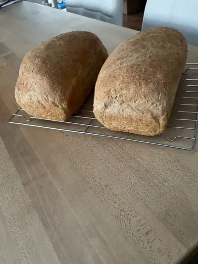 bread / pizza dough / sour dough, View more