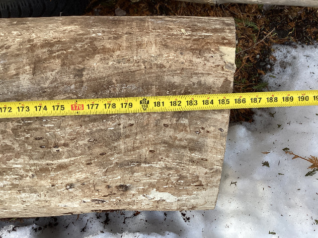 Elm Log 15' long with no knots, good for lumber, furniture? in Other in Kawartha Lakes - Image 2