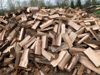 Firewood 