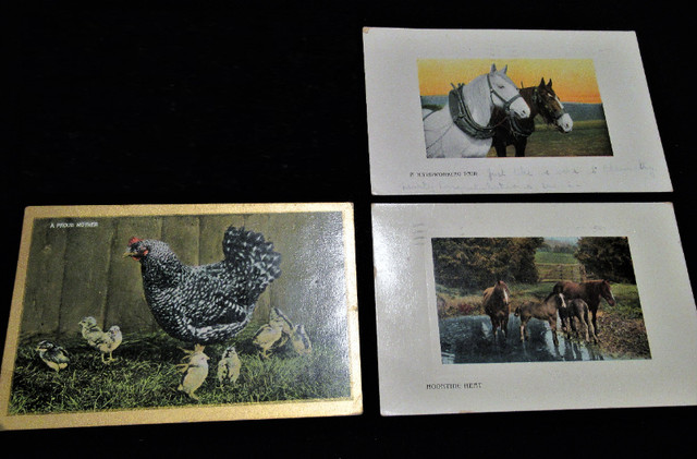 Ten Vintage General Postcards from early 1900's in Arts & Collectibles in Edmonton - Image 3