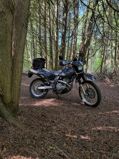 Perfect condition. Selling it cause I'm moving. 27.000KM Lots of accessories.