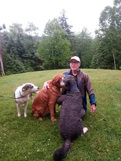 **☼ Shubie Park & Conrad's Beach - Dog Walking ☼ **, View more