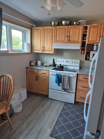 large basement suite