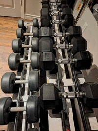 Weight rack