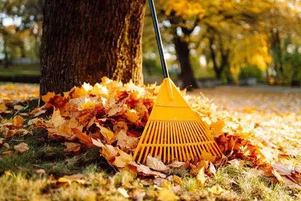 leaf raker yardwork helper available today 
