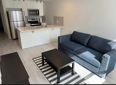 SHORT TERM RENTAL! 338 Seton Cir SE, Calgary, AB T3M 2V3, Canada Available starting April 1st, 2026....