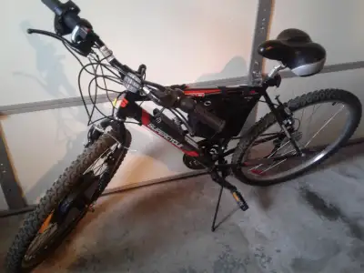 custom ebike and batteries, View more