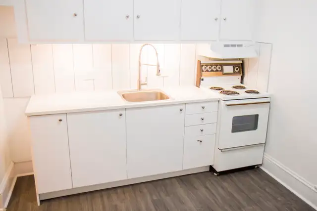 Spacious 1-BR in well maintained Heritage Building - Sandy Hill in Long Term Rentals in Ottawa - Image 7