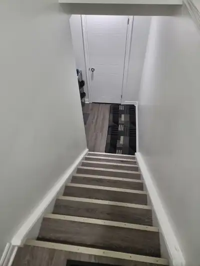 Basement available for rent