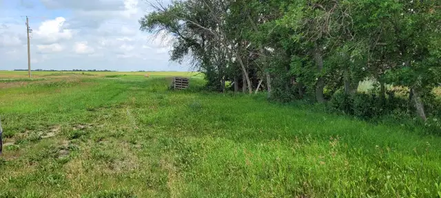 2.97 Acres of Land for Sale in the RM of Montmarte in Land for Sale in Regina - Image 7