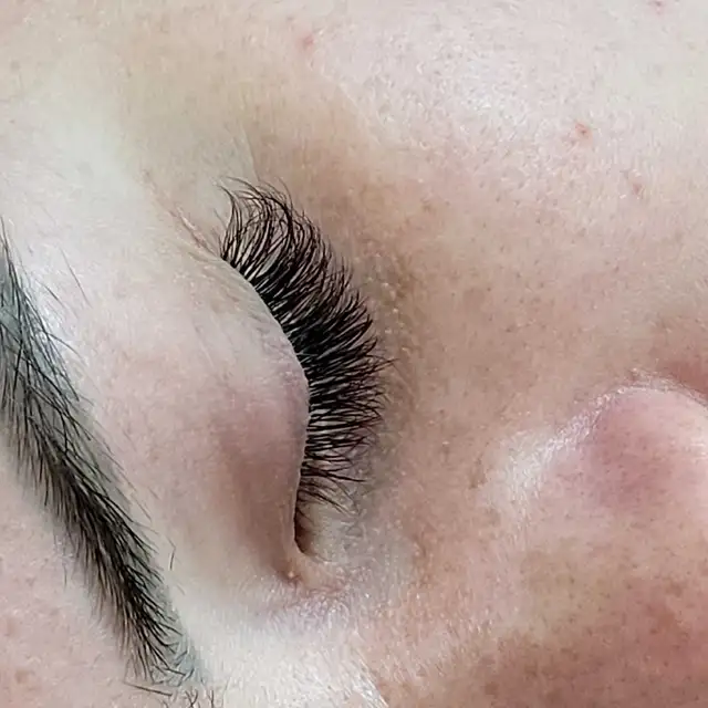 Lash model for free