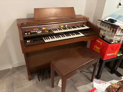 orgue fonctionnel , View more