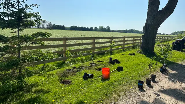 Yardwork, spring cleaning427545404407828484