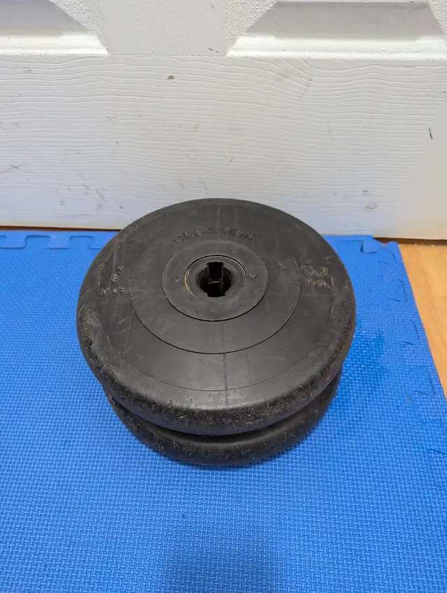 vinyl weight plates $0.50/lbs in Exercise Equipment in Delta/Surrey/Langley - Image 8