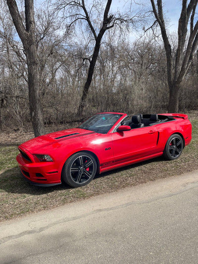 2014 Mustang GT California Special