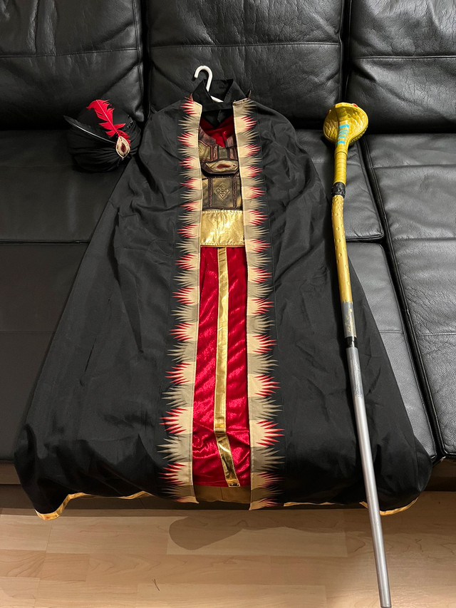 Disney Aladdin Jafar Adult Costume in Costumes in Calgary - Image 4