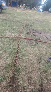 5/8 logging chain, 50 foot long