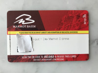 Marmot Basin Adult 1 Day Ski Ticket