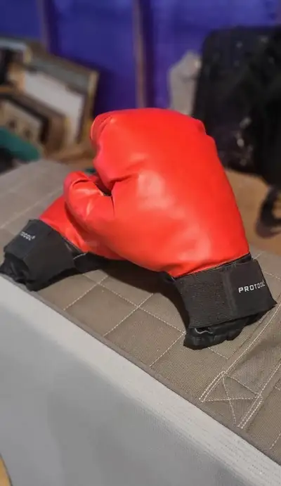 Protocol Boxing gloves, View more
