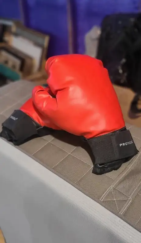 Protocol Boxing gloves in Exercise Equipment in Winnipeg - Image 2