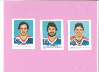 Vintage Hockey: 1984-85 Red Rooster Edmonton Oilers Lot Of 15