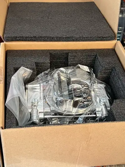 I am selling this brand-new Holley 600 CFM carburetor, which is still sealed in its original protect...