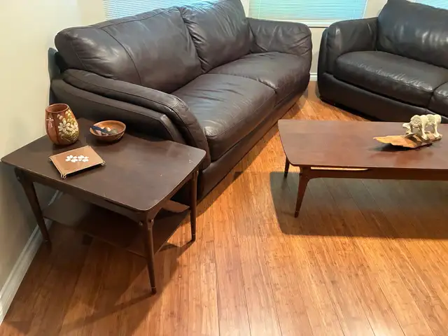 Natuzzi sofa